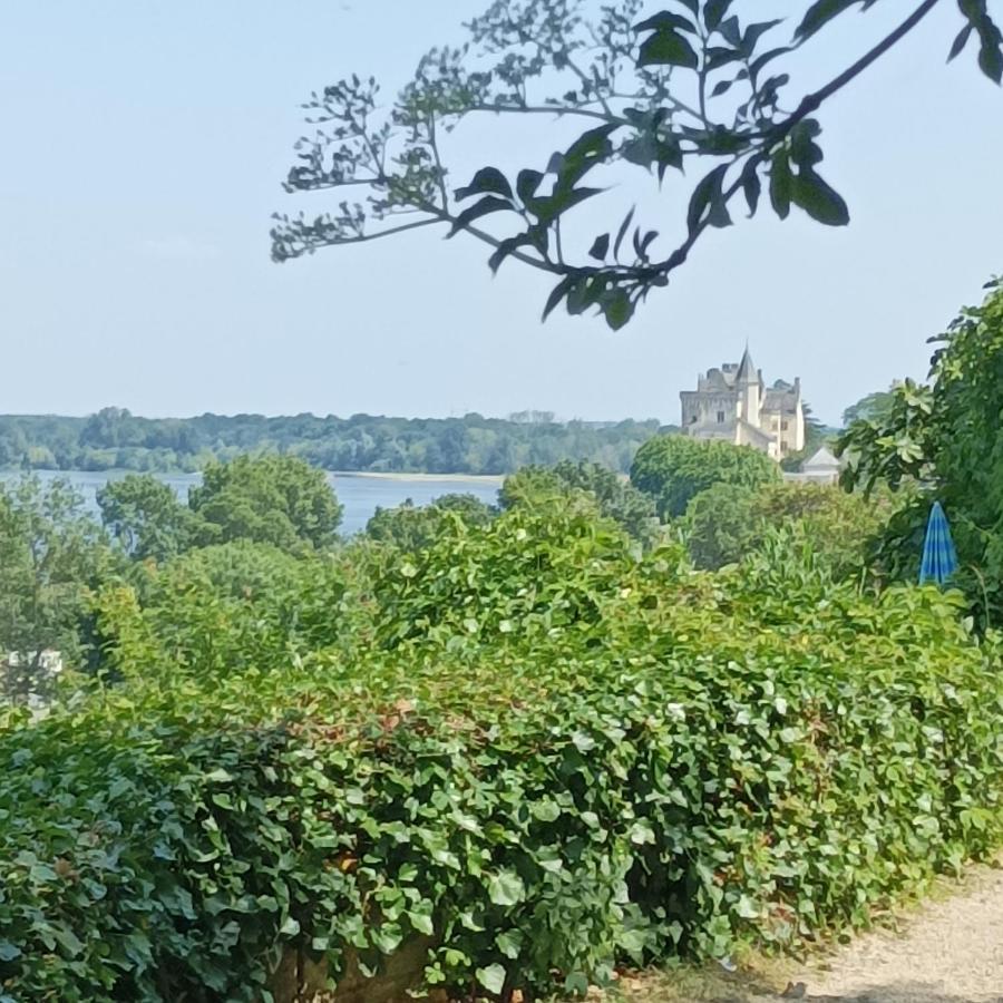 Gite Des Perreyeurs - Maison Troglodyte Avec Vue Sur Loire Montsoreau Exterior photo